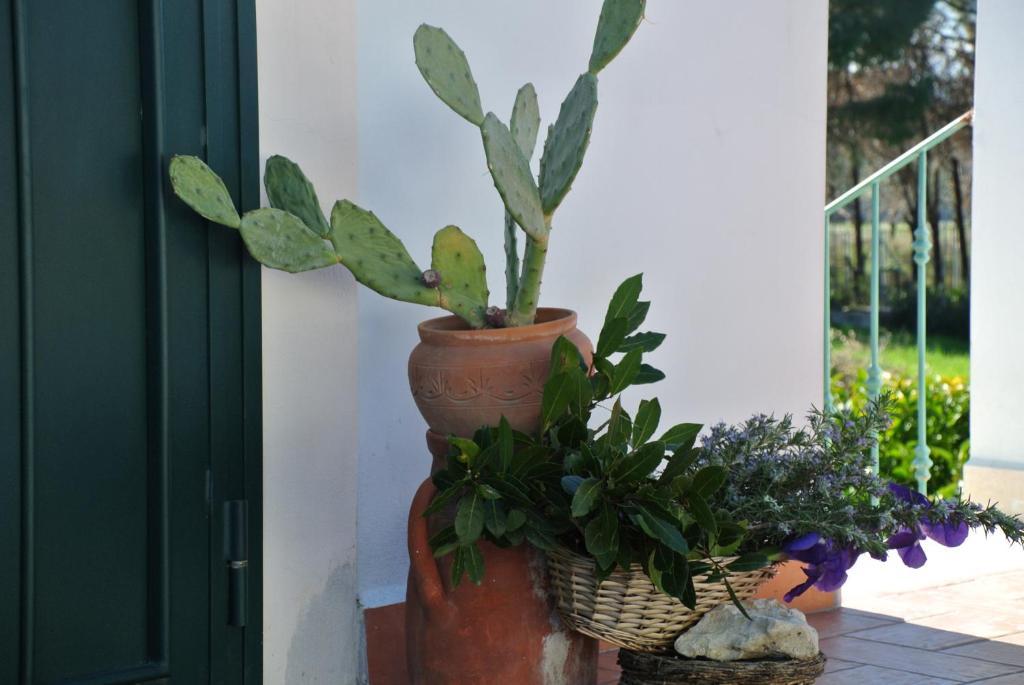 Il Giardino Del Te 호텔 바를레타 객실 사진